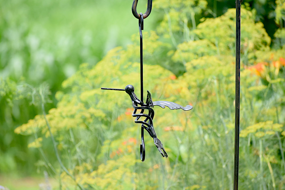 hanging hummingbird plants Hanging Hummingbird with bottom hook – Garden Path PA