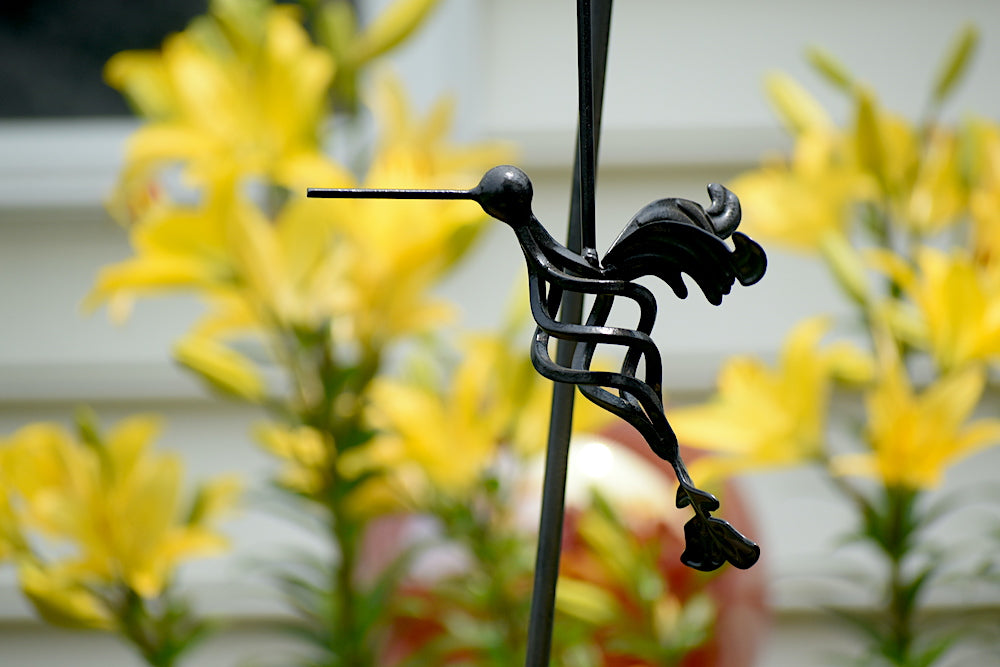 cast iron hummingbird plant hanger Hanging Hummingbird
