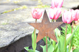 Rusted Star Cutout on Stake