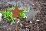 Rusted Silver Star Cutout on Stake